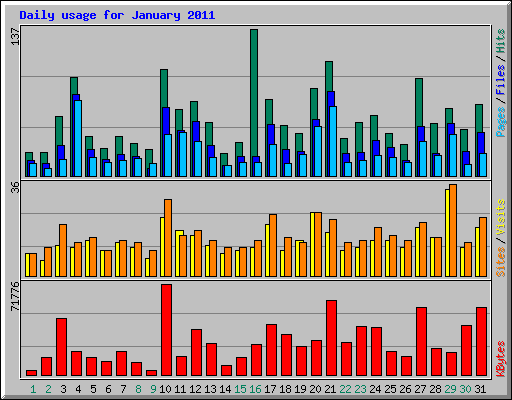 Daily usage for January 2011