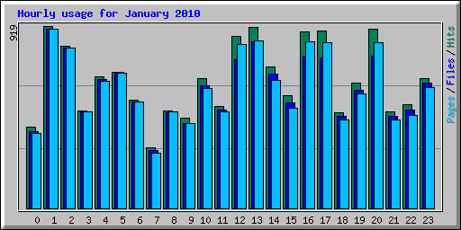 Hourly usage for January 2010